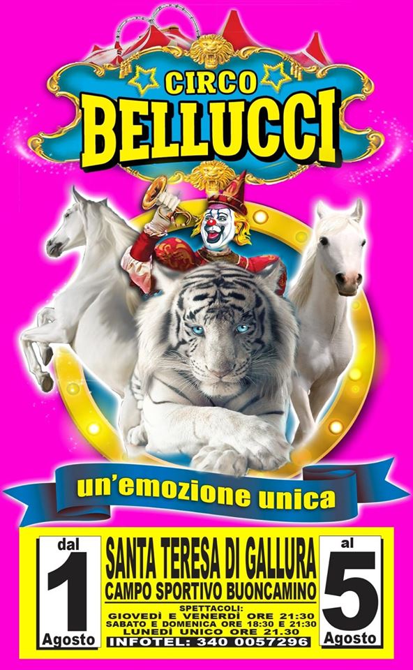Circo 2019